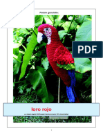 Loro Rojo