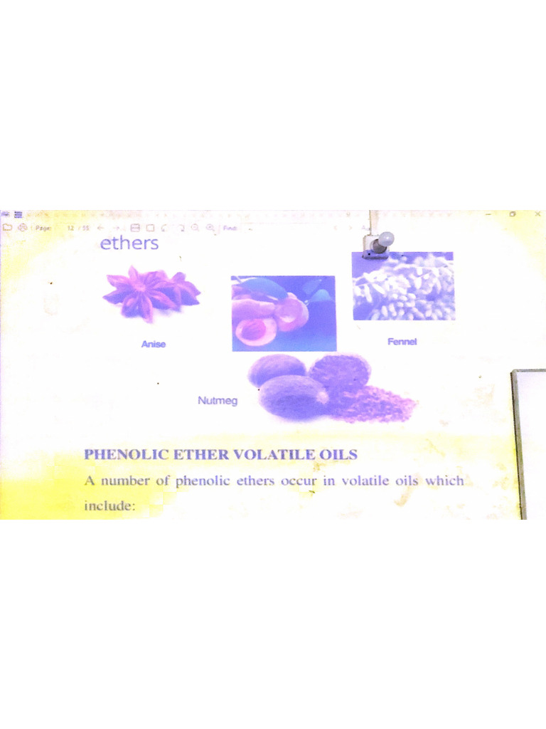 Ester Volatile Oil and Ether Volatile Oi PDF