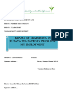 Training Report For My Employment