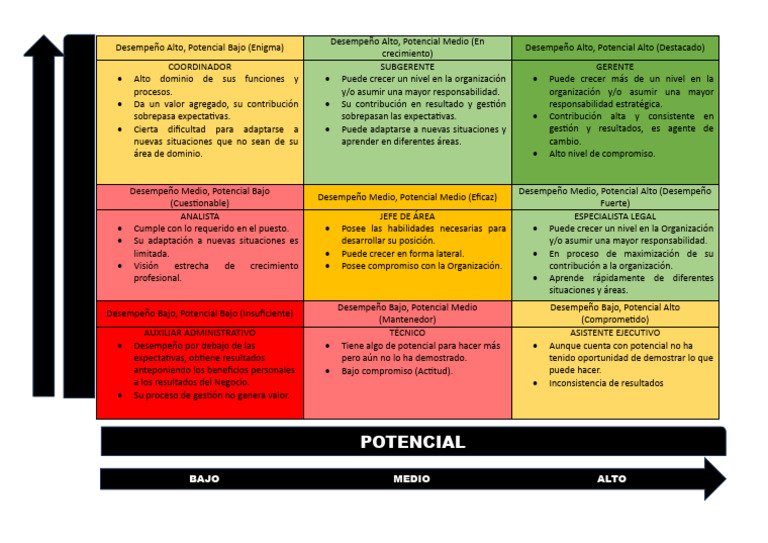 Nine Box | PDF | Business | Economias