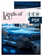 Levels of ICU Design Pre Final 2