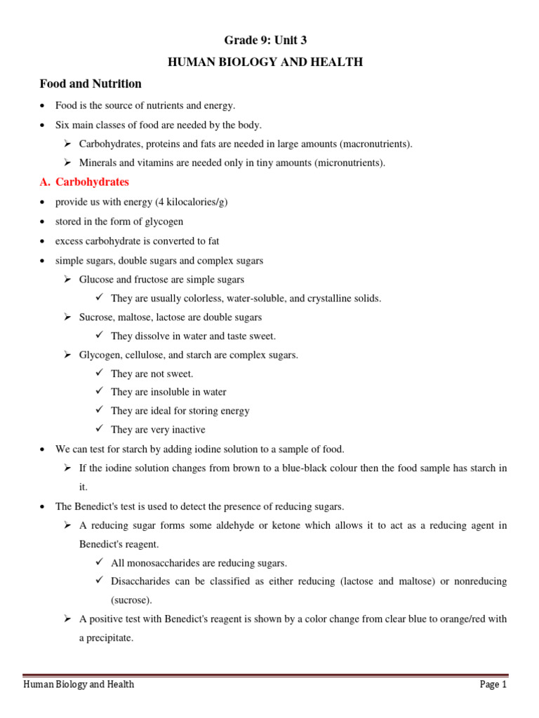 Grade 9 Human Biology: Nutrition Basics | PDF
