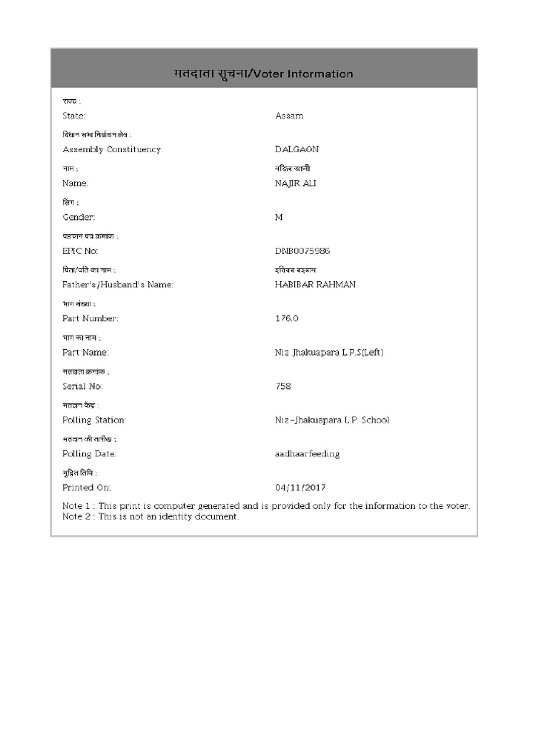 Voter information pdf