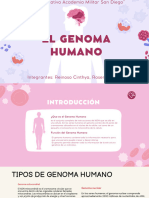 Genoma Humano