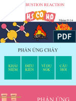 Phản ứng cháy