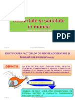 Cursul 8 Factori de Risc