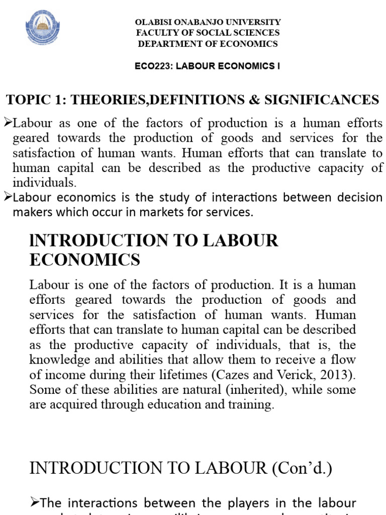 Introduction to Labour Economics | PDF | Labour Economics | Economics