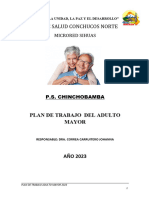 Plan de Trabajo Del Adulto Mayor-Chinchobamba