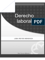 Material de Estudio Derecho Laboral