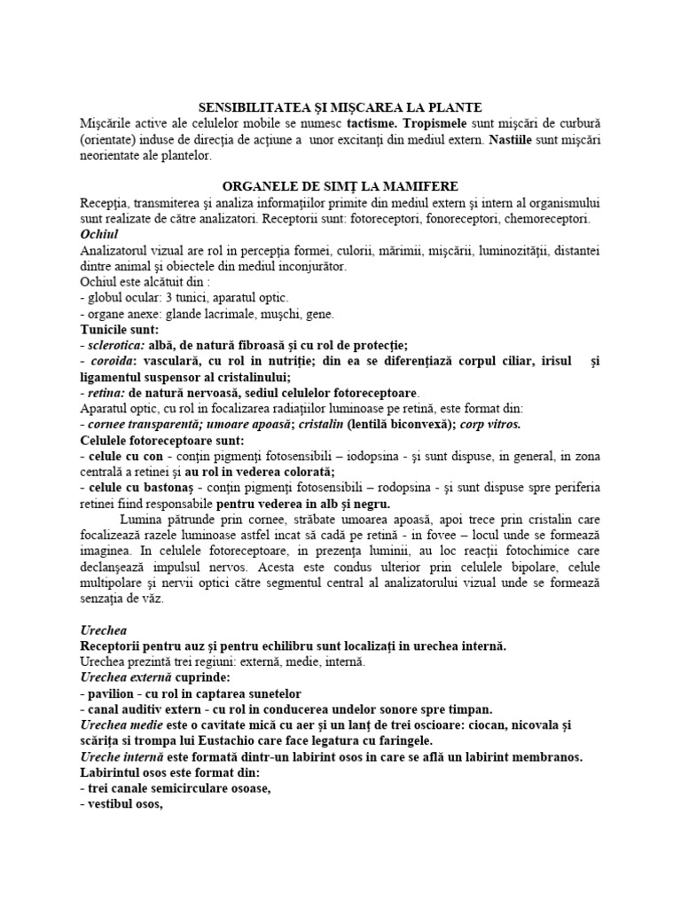 Organele de Simt | PDF