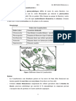 TD1 BIOLOGIE2 TD1 Les Cyanobacteries L1 Geo 21