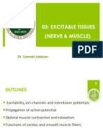 Excitable Tissues (Nerve & Muscle), Z2, CURRENT, NURSING 2nd Yr