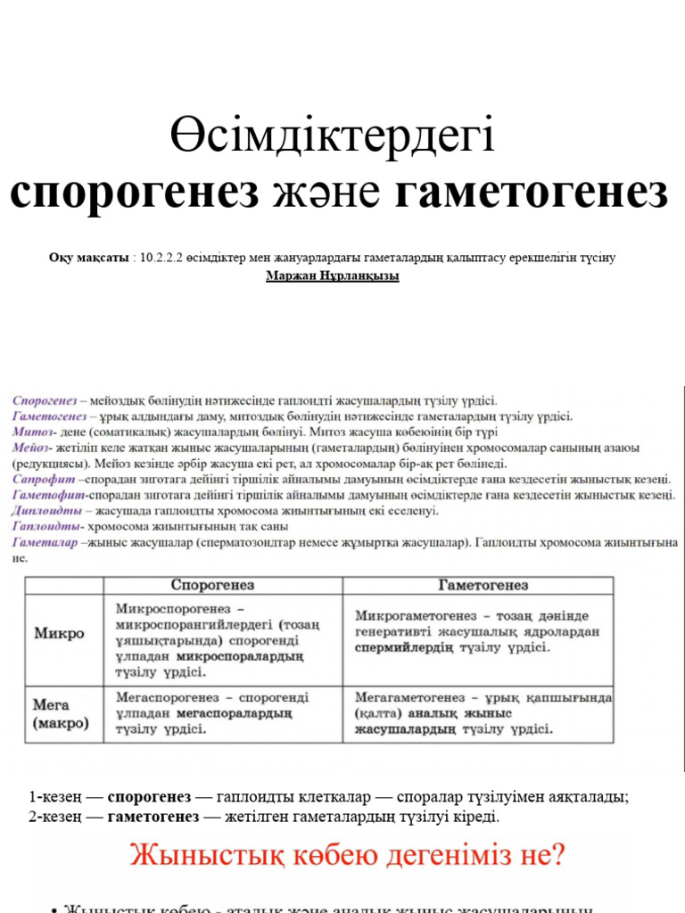 Мұрын лас жопа порно