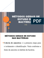 AULA 3 Microbiologia - 054216