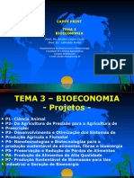 Tema 3 Bioeconomia