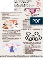 Copia de Infografía Sobre Tableros Creativos Orgánico Marrón y Rosa