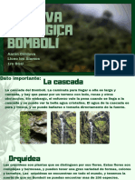 Diario de Campo Bomboli Aaron Cordova