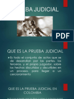 Prueba Judicial