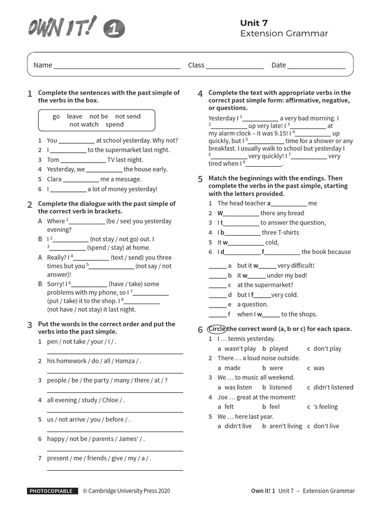 Extension Grammar Unit7 Without Answers PDF