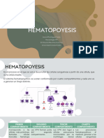 Hematopoyesis LDC