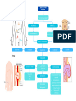 Hernias de La Pared Abdominal