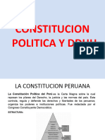 Constitucion Politica y DDHH
