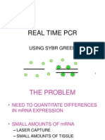 Real Time PCR: Using Sybr Green