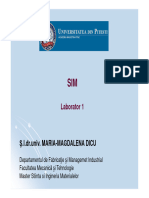 Prezentare Lab 1 - SIM - 09.10.2020