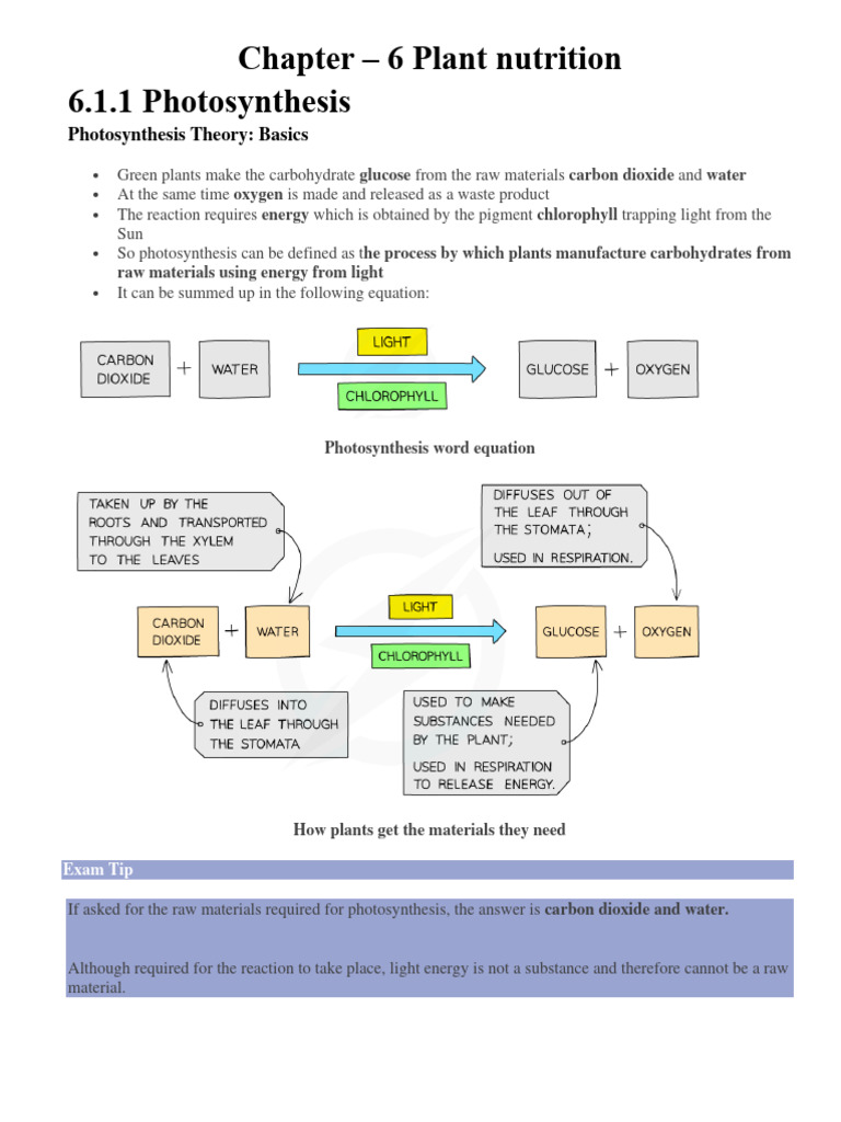 Plant Nutrition Notes | PDF | Photosynthesis | Glucose