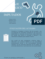 2 Peritaje Psicológico en Imputados