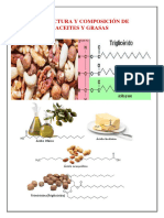 Investigación 1 OCAMPOlipidosyproteinas