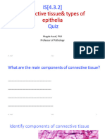 IM (4.3.2) Connective Tissue Epithelia Quiz