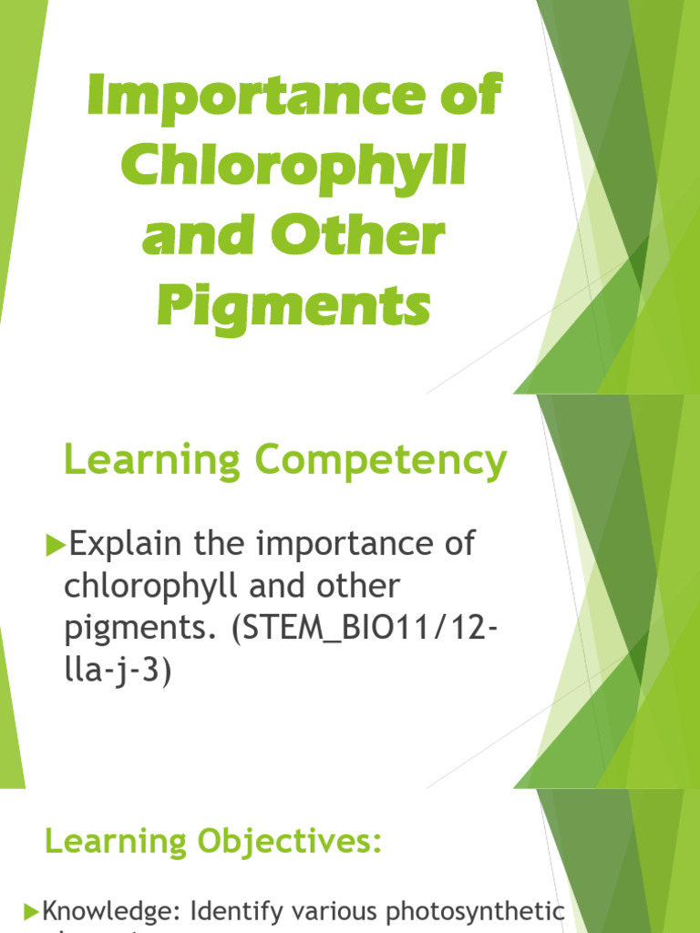 Importance of Chlorophyll and Pigments | PDF | Electromagnetic ...