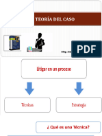 Teoria Del Caso - Sesion 01