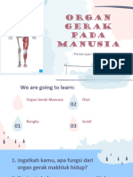 Organ Gerak Pada Manusia