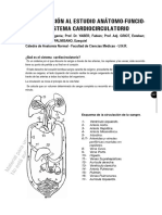 19 - Introduccion Al Estudio Anatomo-Funcional Del Sistema Cardiocirculatorio. Cabral-Yaber-Griot-Kuchen-Palmisano - 2