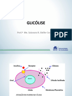 9 - Glicolise