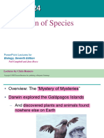 Species