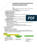 Anatomía Funcional de La Cintura Pectoral y de La Articulación Glenohumeral