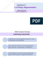 Lecture4 BodySegmentation