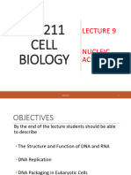Bio211 L9 Nucleic Acids
