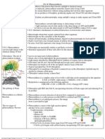 CH 10 Photosynthesis