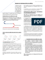 MECANISMOS DE REPARACIÓN DE DAÑOS Clase 9