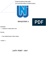 Chumacero Vílchez Julio César - IIA - Semana 2 - BIOQUÍMICA