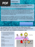 2.3 Introduction To Stem Cells