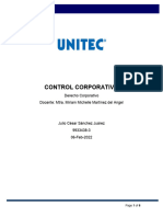 Control Corporativo - Sem 2
