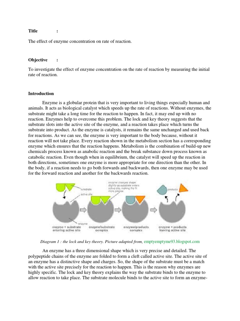 Enzyme Concentration and Reaction Rate | PDF | Active Site | Substrate ...