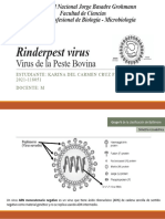 Rinderpest Virus