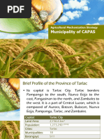 Agricultural Mechanization Strategy in Capas, Tarlac