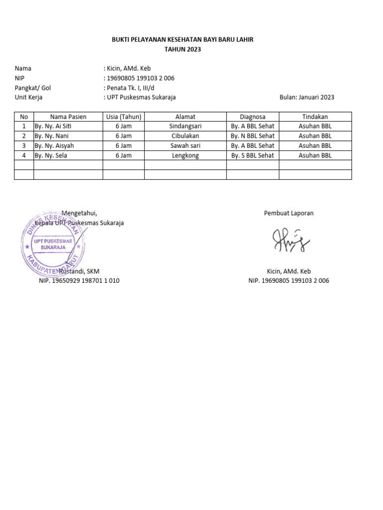 Laporan Pelayanan Kesehatan Bayi 2023 | PDF | Kesehatan Holistik